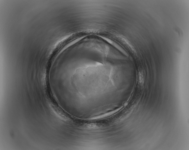 X0000113250588200910011348