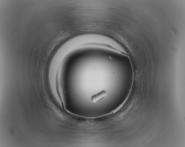 X0000113250589200910011348