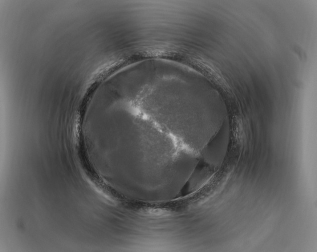 X0000113250590200910011348