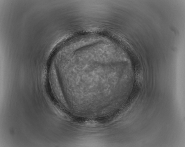 X0000113250591200910011348