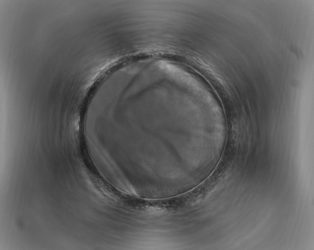 X0000113250592200910011348