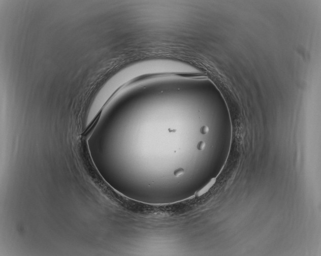 X0000113250593200910011348