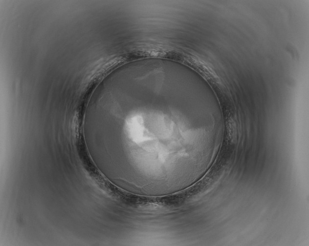 X0000113250594200910011348