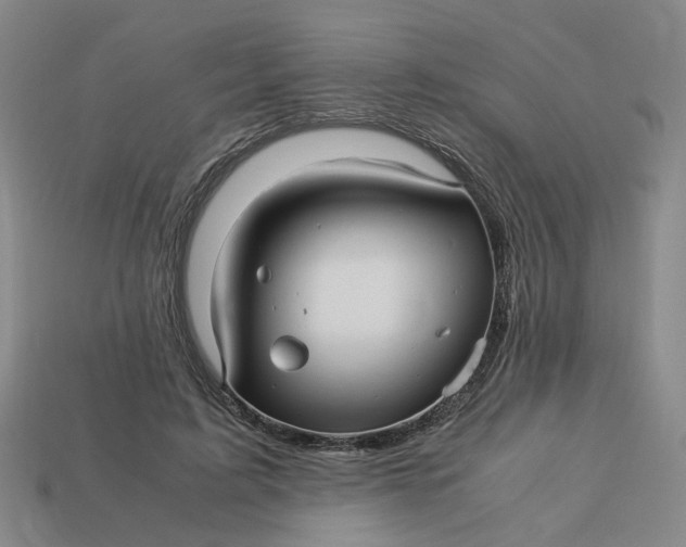 X0000113250595200910011348