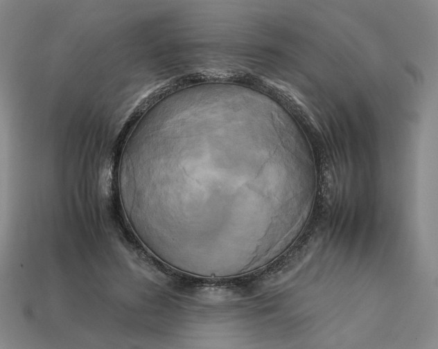 X0000113250596200910011348