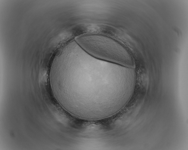 X0000113250597200910011348