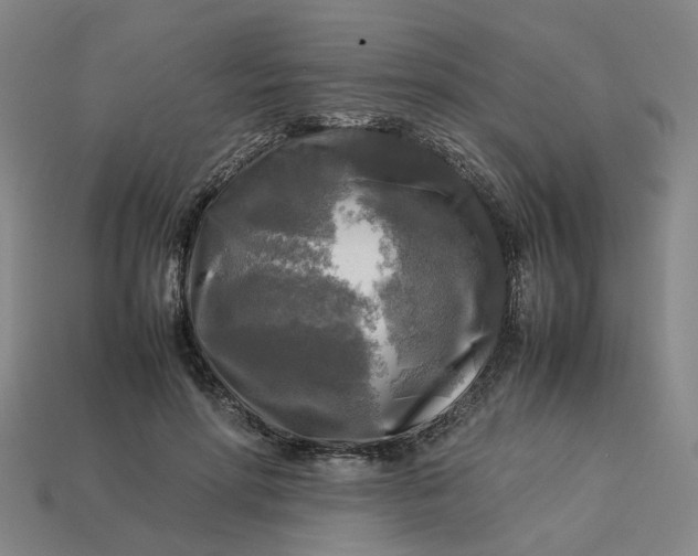 X0000113250598200910011348