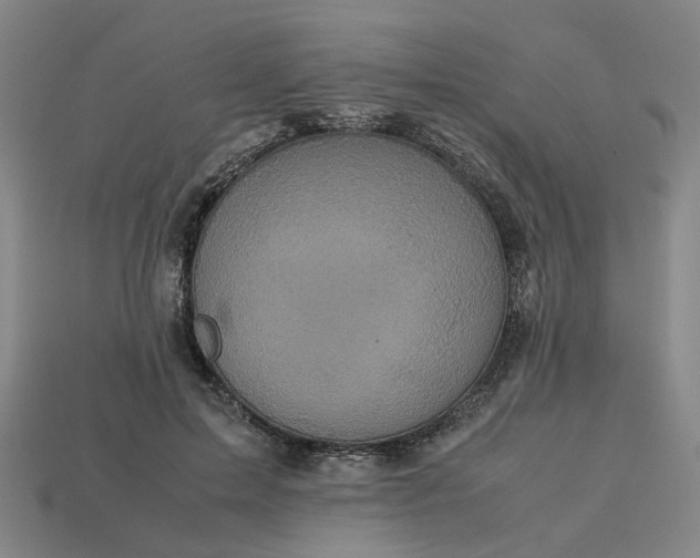 X0000113250599200910011348