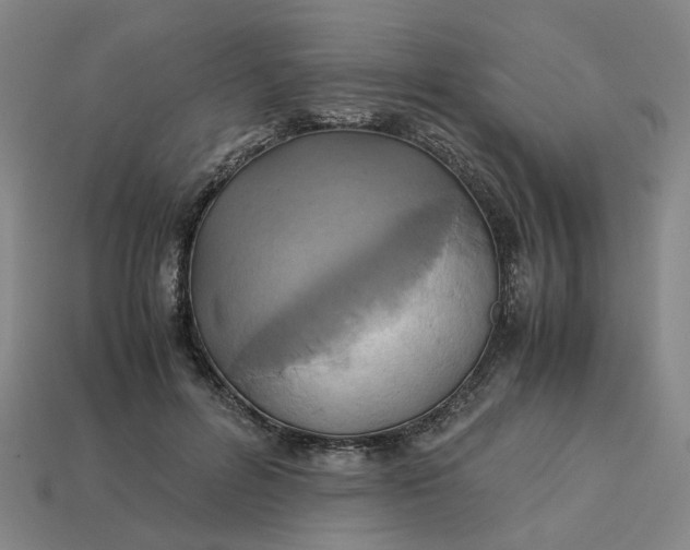 X0000113250600200910011348