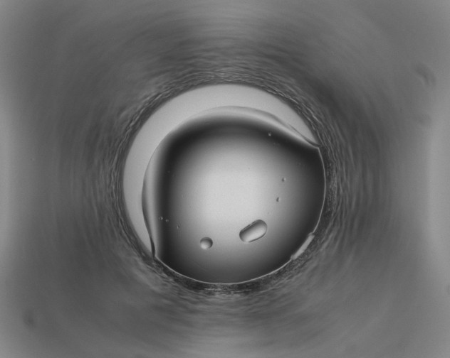 X0000113250601200910011347