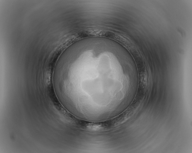 X0000113250602200910011347