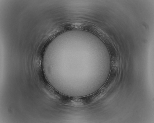 X0000113250603200910011347