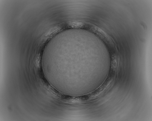 X0000113250604200910011347