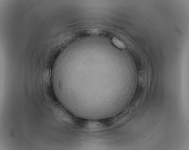 X0000113250605200910011347