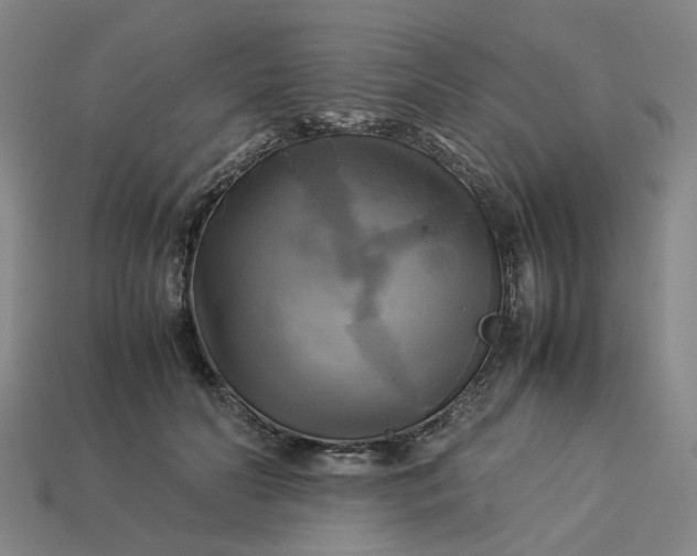 X0000113250606200910011347