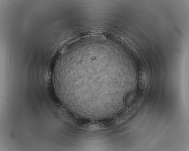 X0000113250608200910011347