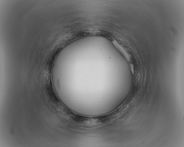 X0000113250609200910011347