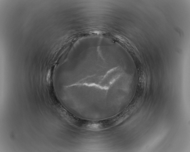 X0000113250610200910011347