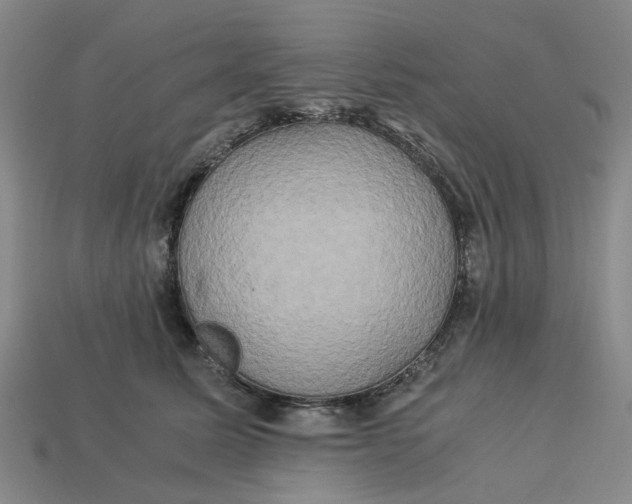 X0000113250611200910011347