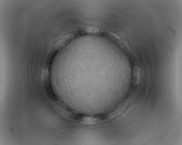 X0000113250614200910011347