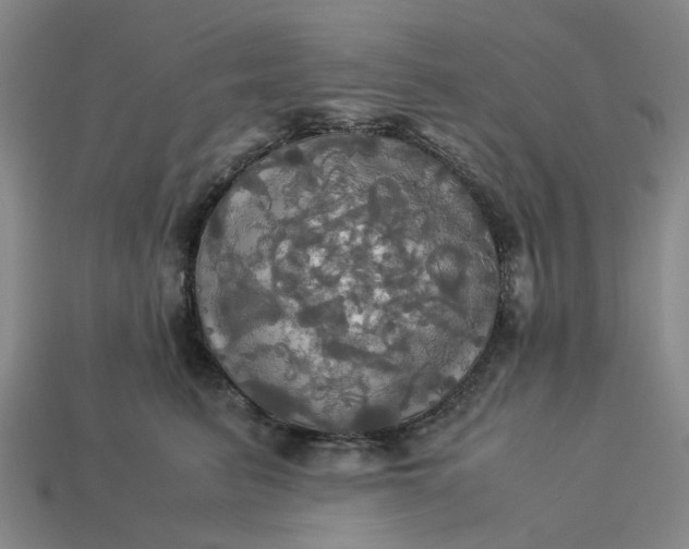 X0000113250615200910011347