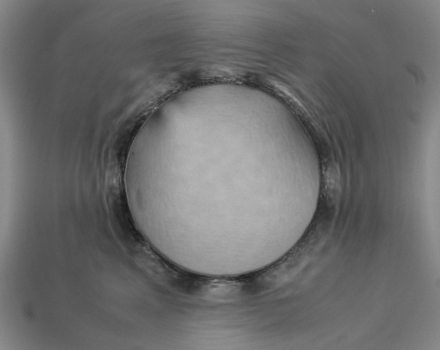 X0000113250617200910011347