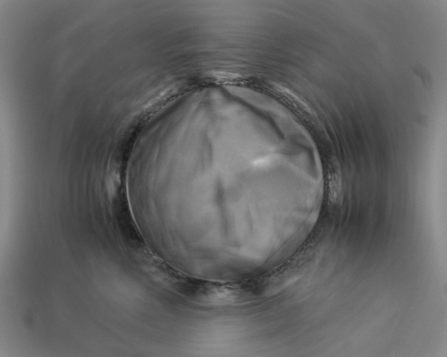 X0000113250618200910011347