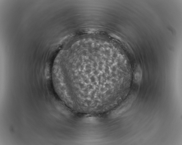 X0000113250620200910011347