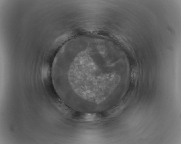 X0000113250623200910011347