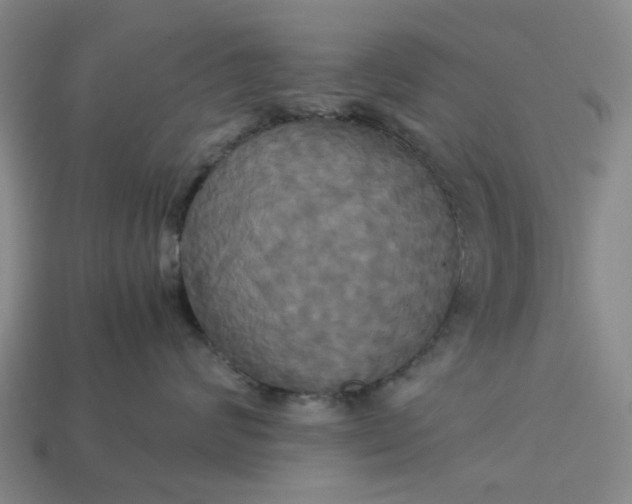 X0000113250624200910011347