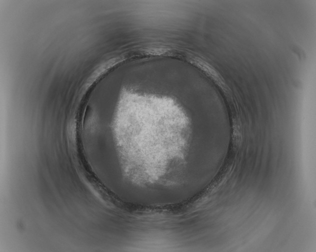 X0000113250626200910011347