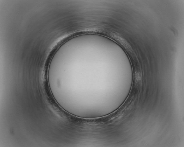 X0000113250628200910011347