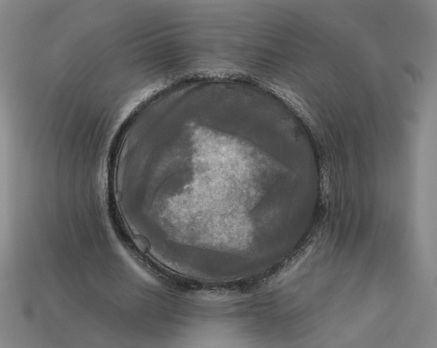 X0000113250630200910011347