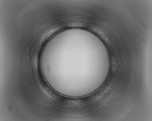 X0000113250631200910011347