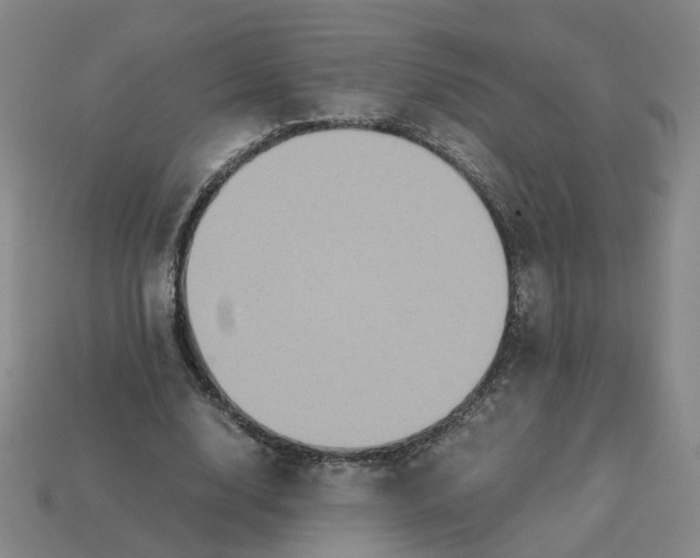 X0000113250632200910011347