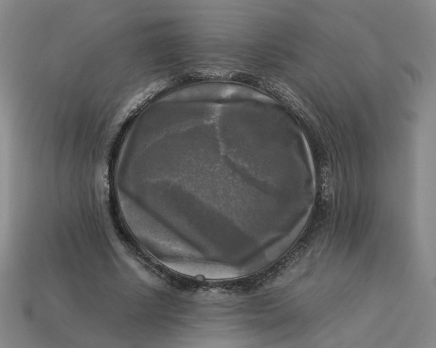 X0000113250634200910011347