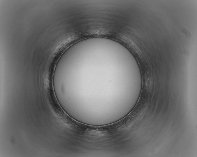 X0000113250635200910011347