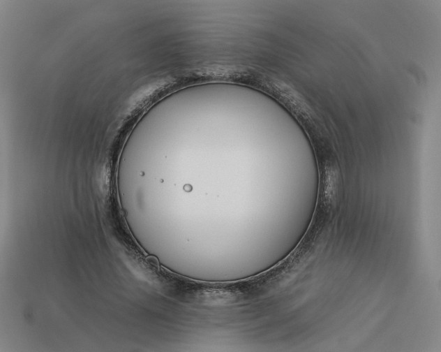 X0000113250636200910011347