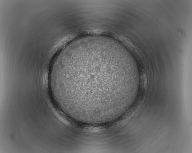 X0000113250638200910011347