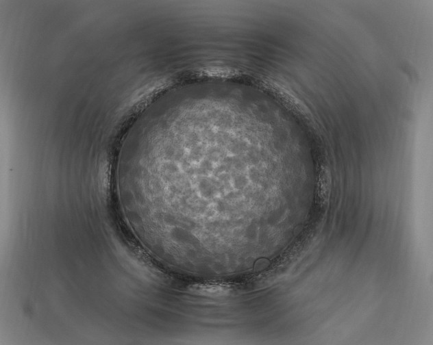 X0000113250639200910011347