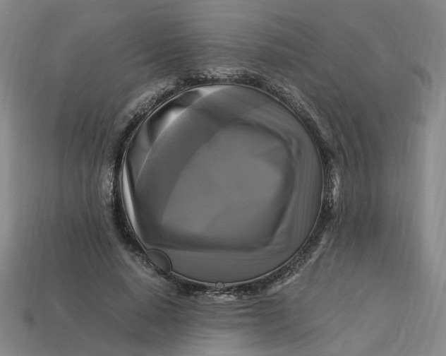 X0000113250640200910011347