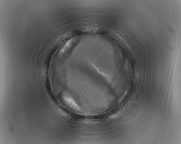 X0000113250641200910011347