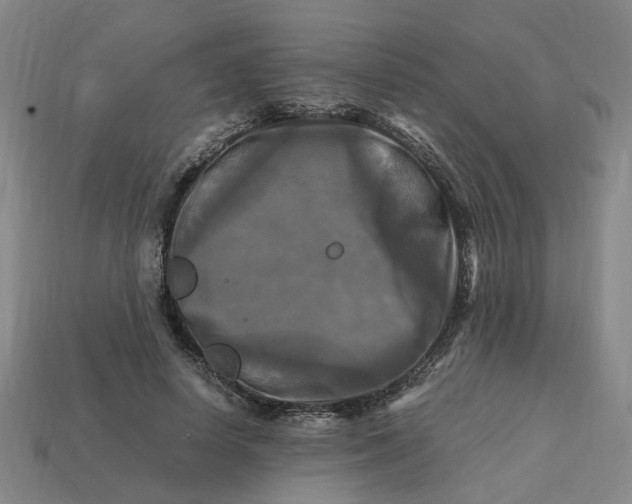 X0000113250642200910011347