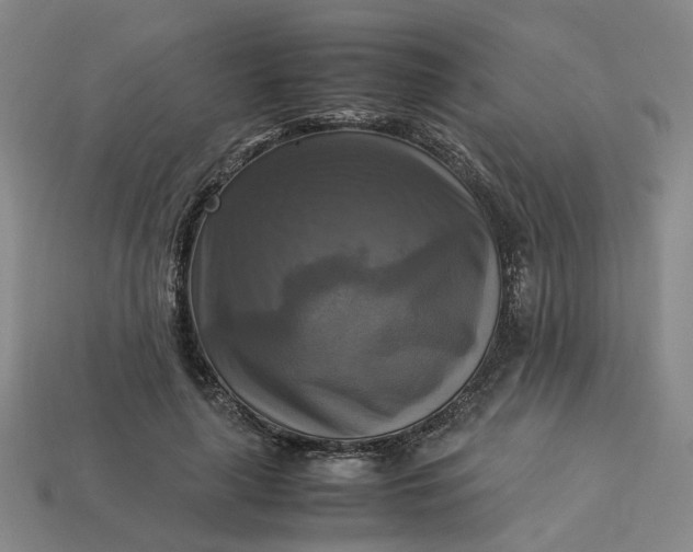 X0000113250643200910011347