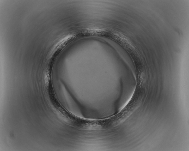 X0000113250644200910011347