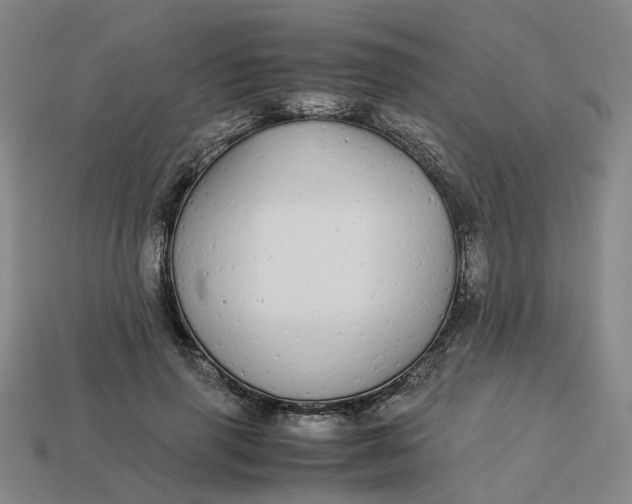 X0000113250645200910011347