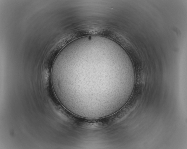 X0000113250646200910011347