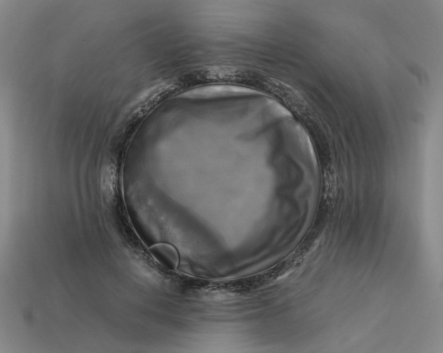 X0000113250648200910011347