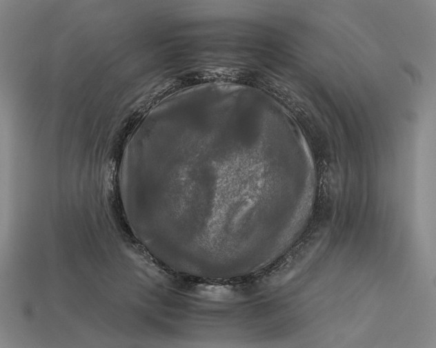 X0000113250649200910011347