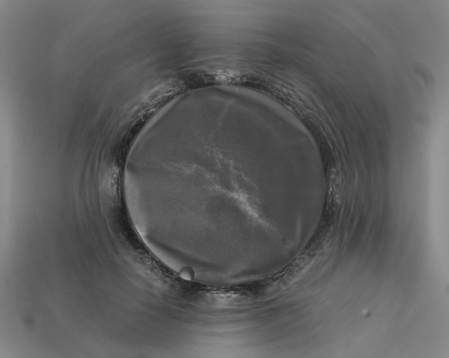 X0000113250650200910011347